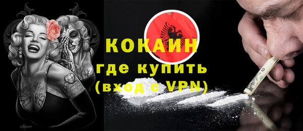 spice Бородино