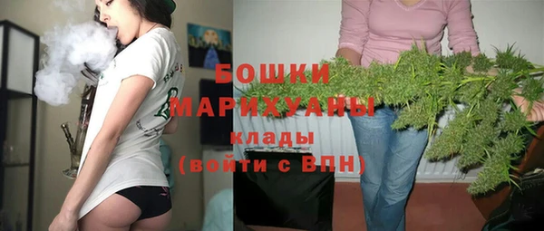 spice Бородино