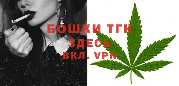 тгк Бронницы