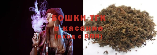 spice Богородицк