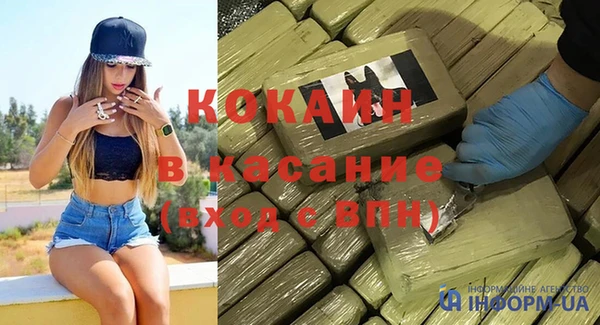 spice Богородицк