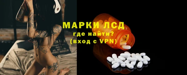 spice Богородицк