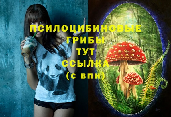 mdma Богданович
