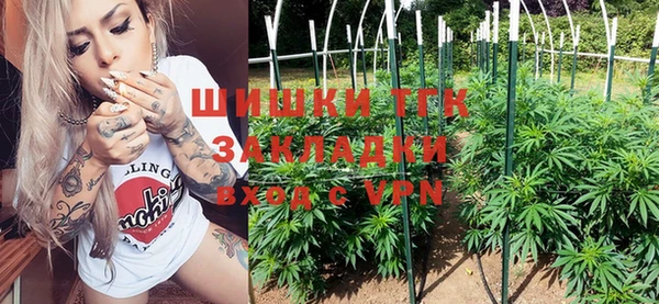 spice Богородицк