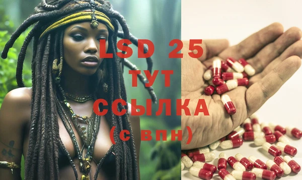 spice Бородино
