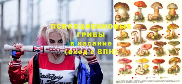 spice Бородино