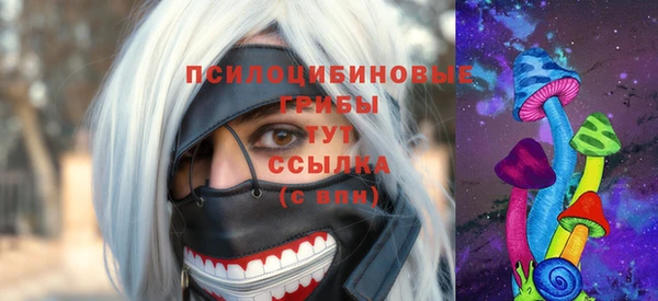 mdma Богданович