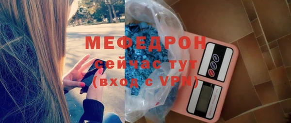 spice Богородицк